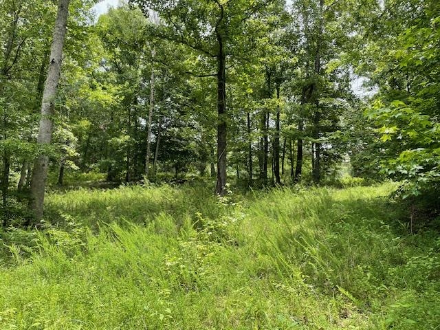 3335 Middle Bridge Road Savannah, TN 38372 - Photo 8 of 20 View of nature