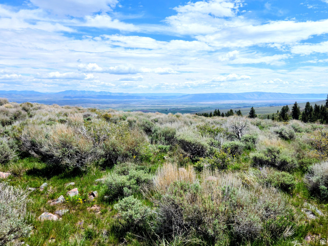 1664 Mill Canyon Road Montpelier, ID 83254 - Photo 6 of 8