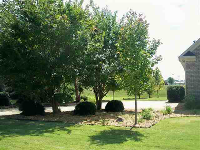 430 Battery Row Boiling Springs, SC 29316 - Photo 22 of 25