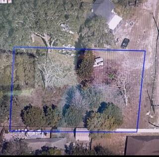 2668 Orange Branch Road Eustis, FL 32726 - Photo 3 of 3