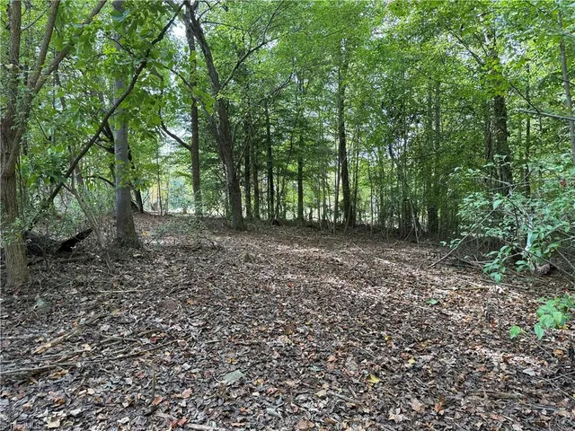 $1,058,760 | 0 Zeb Ferguson Road, Siler City, NC 27344