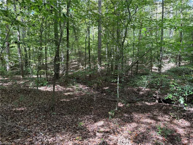 $1,058,760 | 0 Zeb Ferguson Road, Siler City, NC 27344