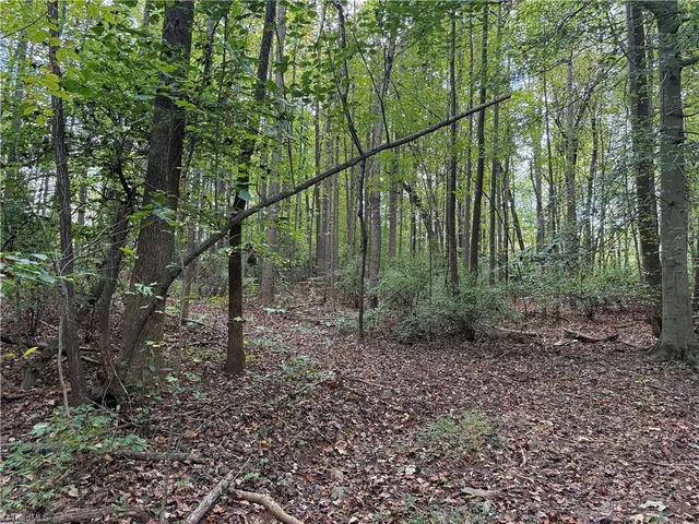 $1,058,760 | 0 Zeb Ferguson Road, Siler City, NC 27344