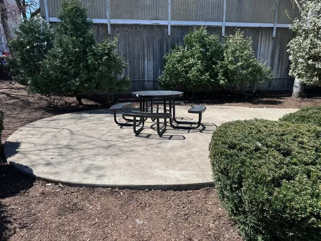 a view of outdoor space yard and patio