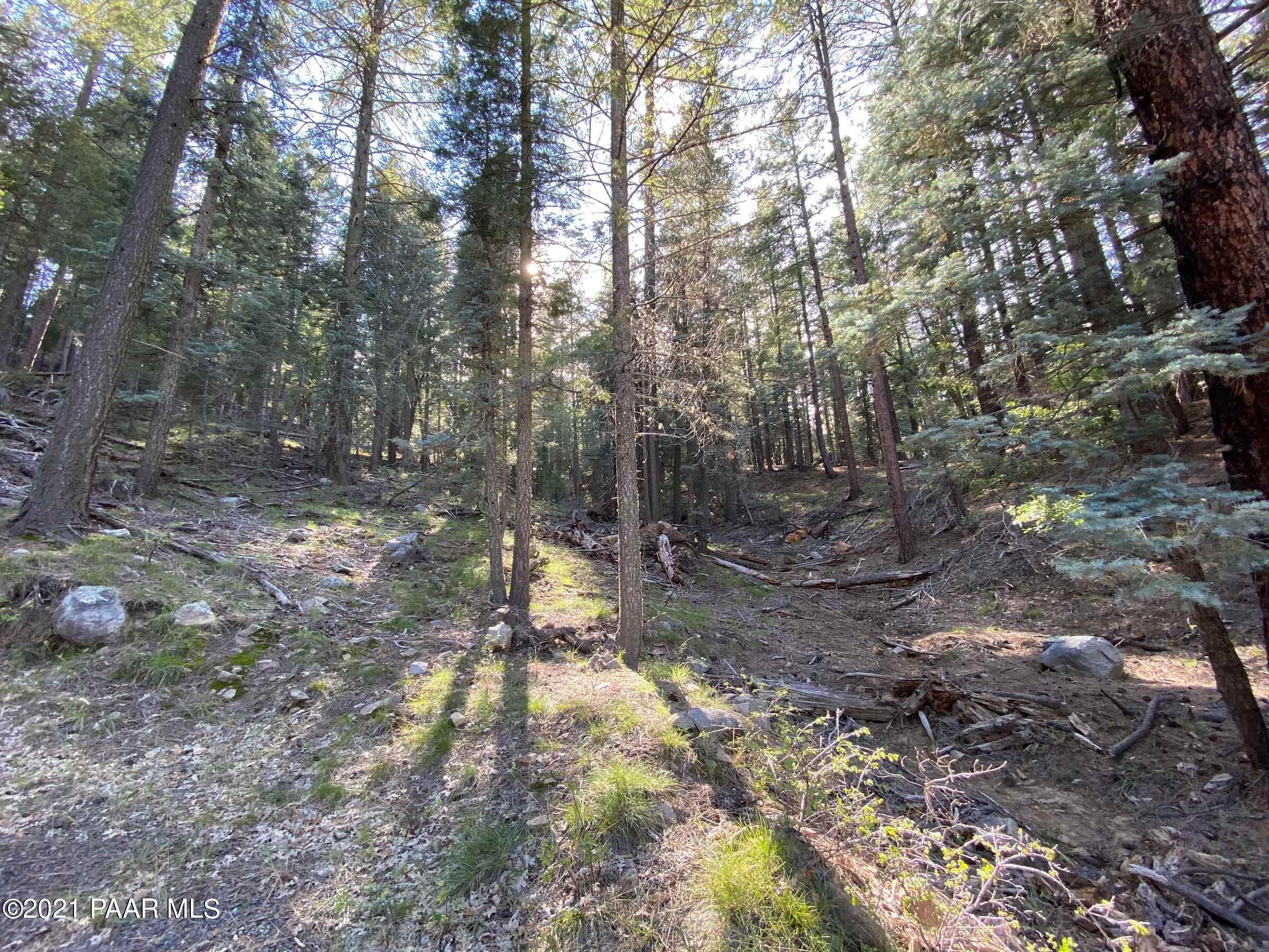 2810 Shelf Road Prescott, AZ 86303 - Photo 1 of 16 IMG_0713-3
