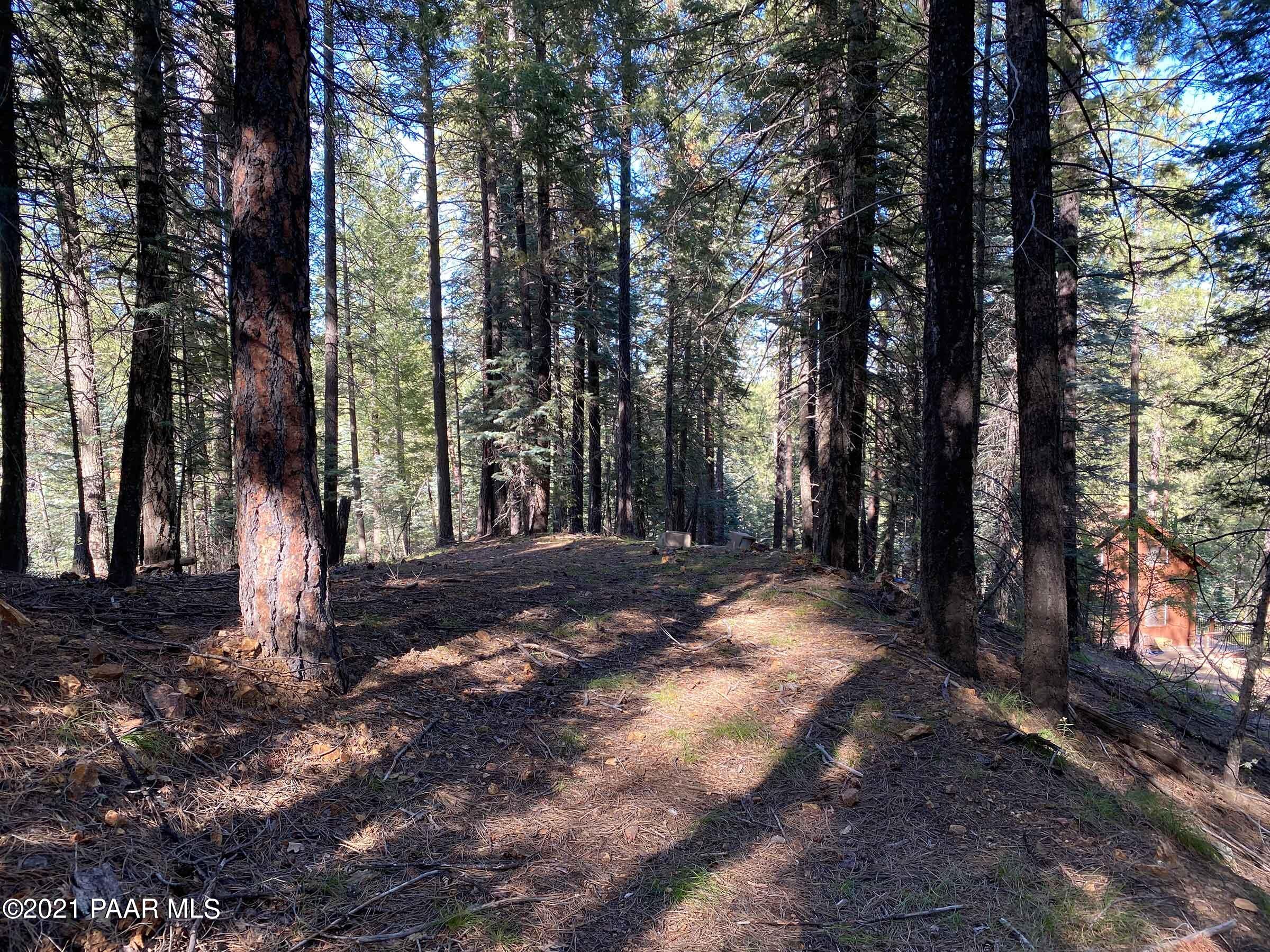 2810 Shelf Road Prescott, AZ 86303 - Photo 11 of 16 IMG_0704-2