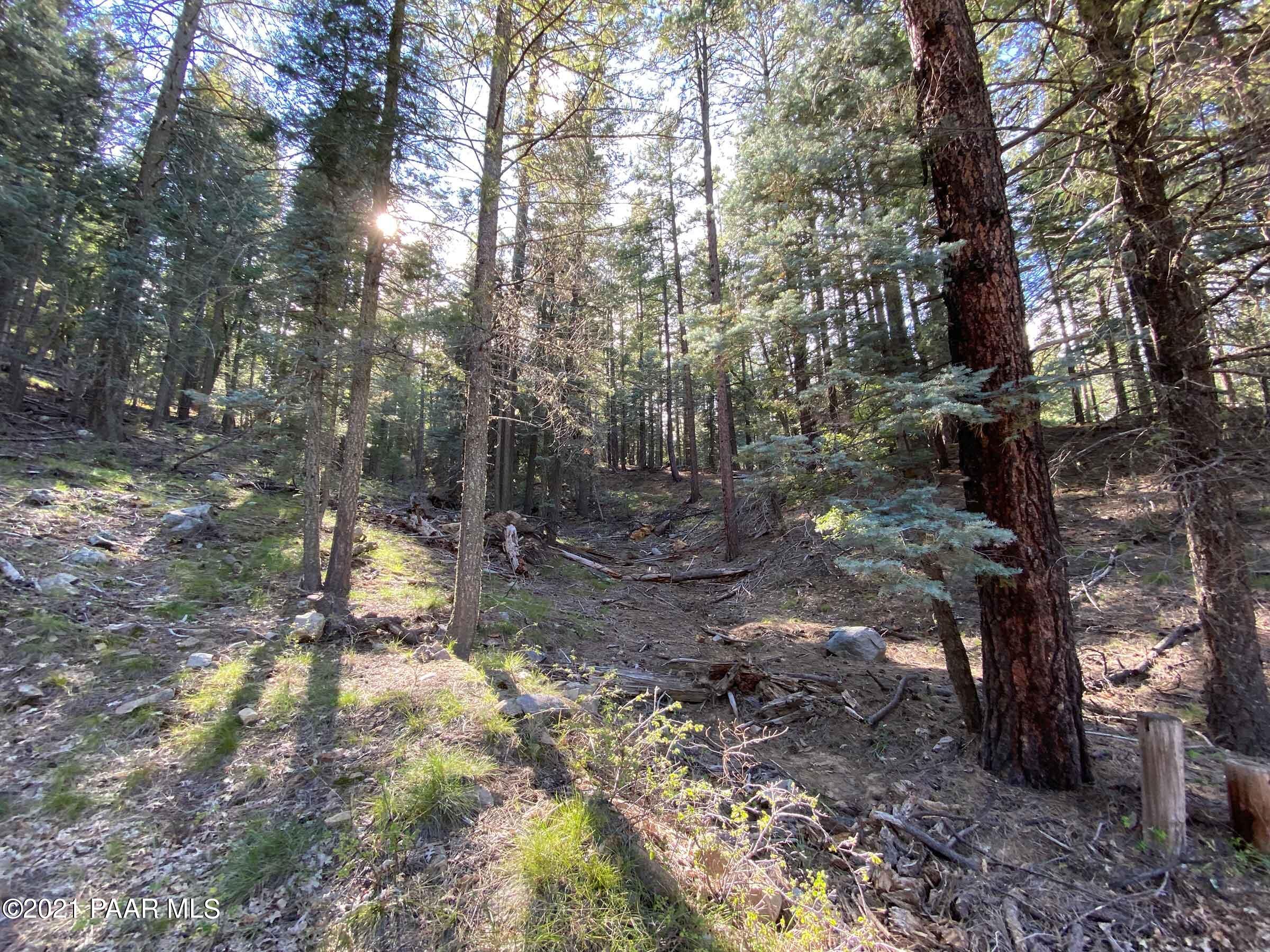 2810 Shelf Road Prescott, AZ 86303 - Photo 13 of 16 IMG_0707-2