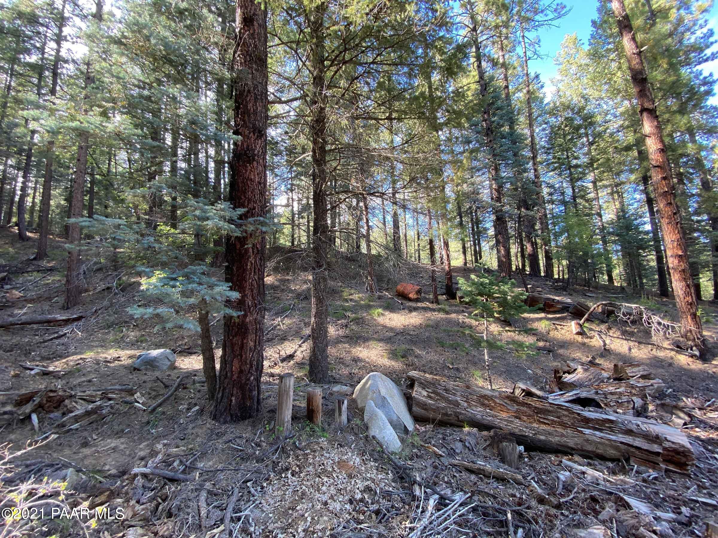 2810 Shelf Road Prescott, AZ 86303 - Photo 15 of 16 IMG_0708-2