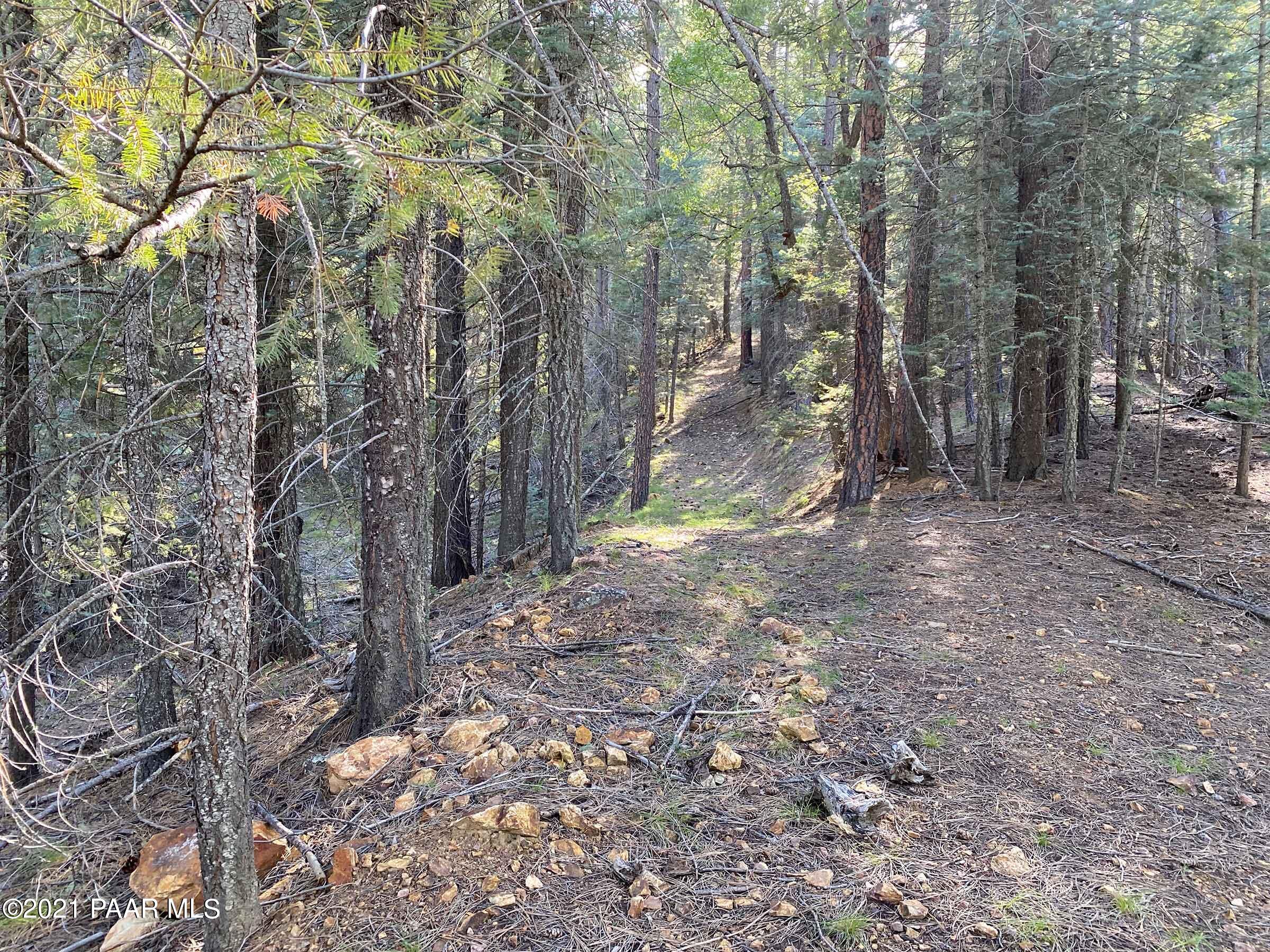2810 Shelf Road Prescott, AZ 86303 - Photo 2 of 16 Forest Lot