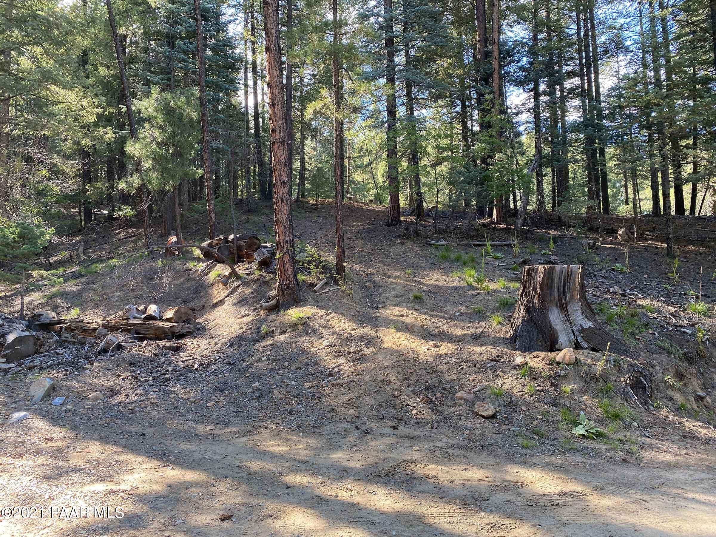 2810 Shelf Road Prescott, AZ 86303 - Photo 3 of 16 IMG_0695-2