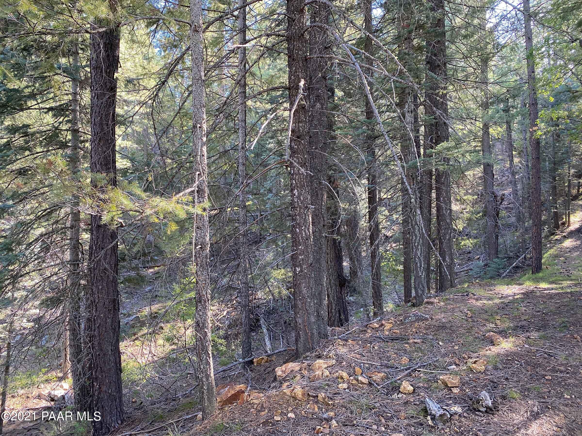 2810 Shelf Road Prescott, AZ 86303 - Photo 7 of 16 IMG_0700