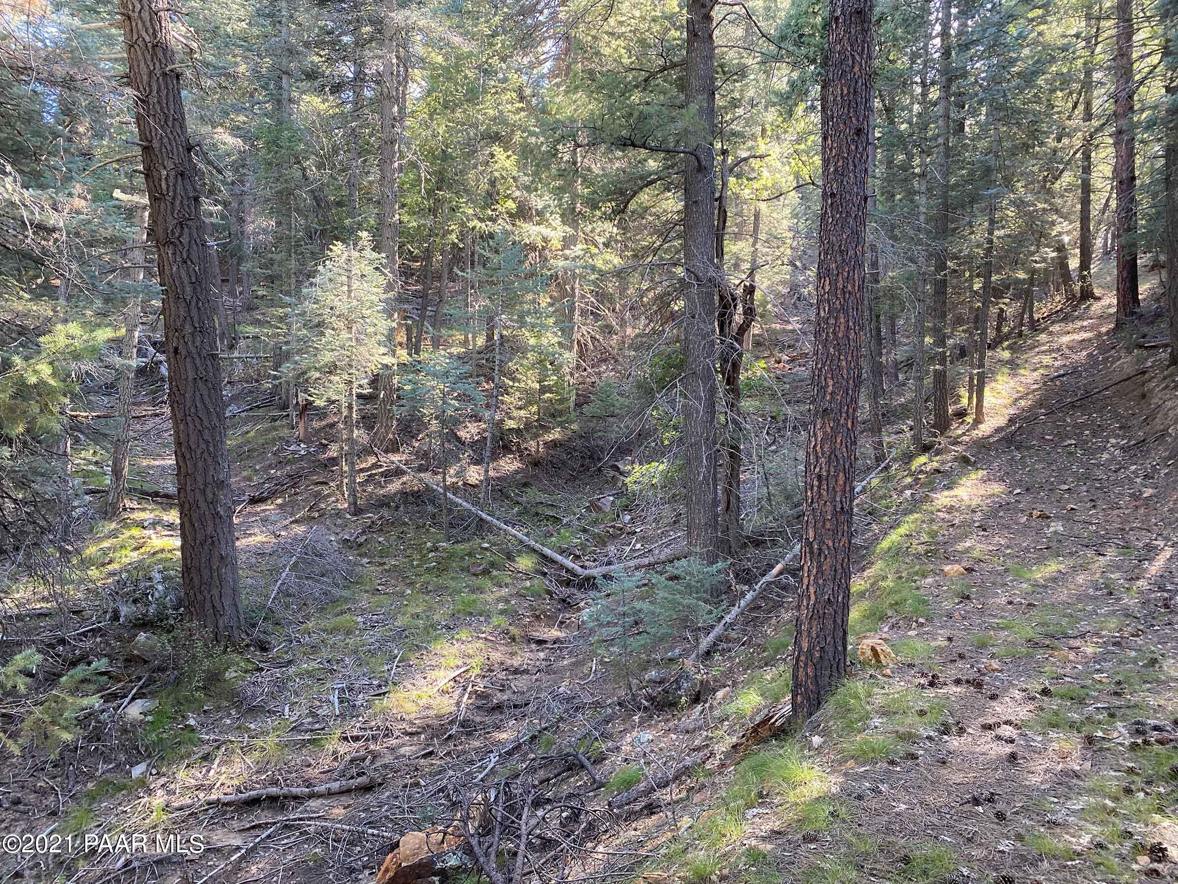 2810 Shelf Road Prescott, AZ 86303 - Photo 10 of 16 IMG_0703-2