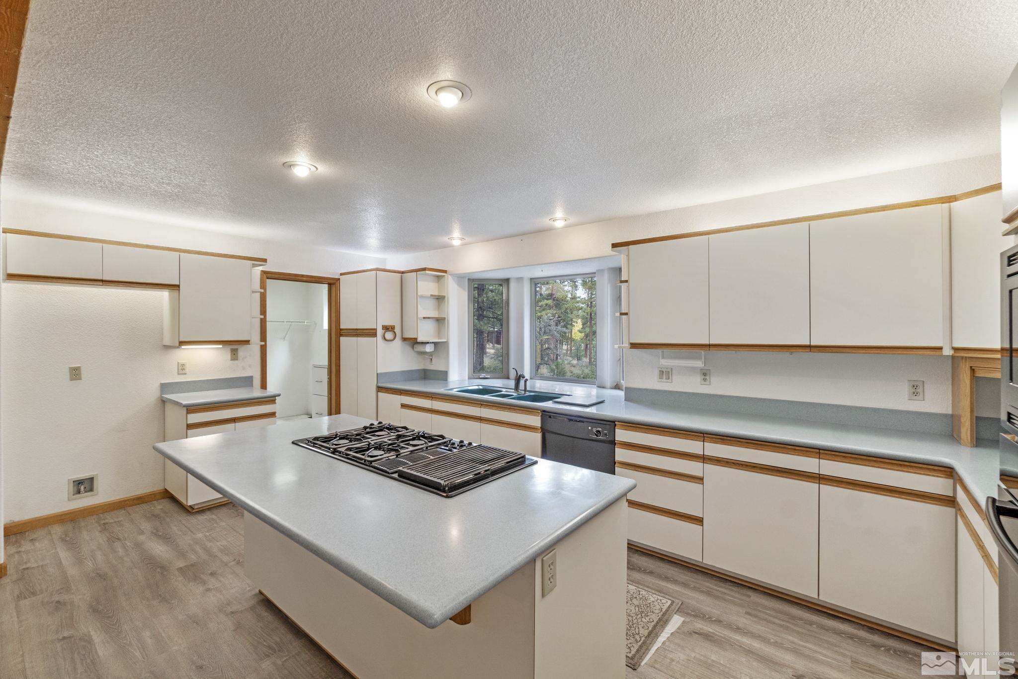 245 Abies Road Reno, NV 89511 - Photo 11 of 40 Photo 11