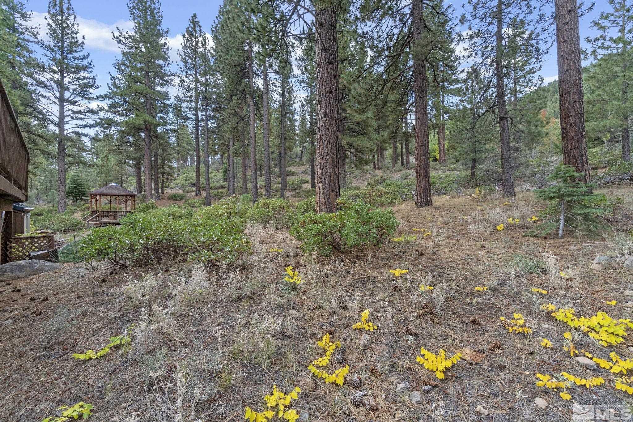 245 Abies Road Reno, NV 89511 - Photo 39 of 40 Photo 39