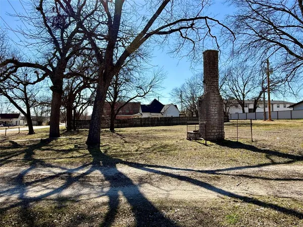 a view of a yard with trees