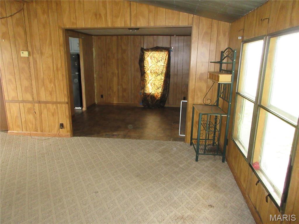7080 Bee Branch Road Iuka, IL 62849 - Photo 4 of 40