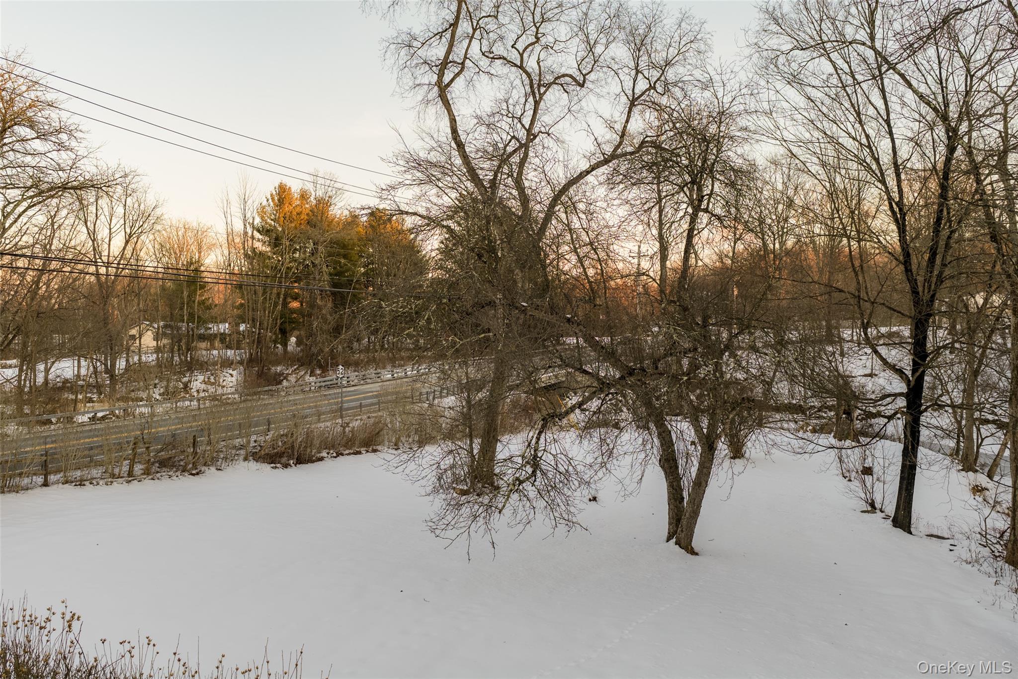 5003 Searsville Road Pine Bush, NY 12566 - Photo 32 of 40 a view of a forest covered with snow