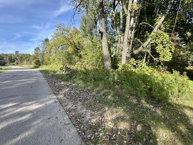 South White Potato Lake Road, Unit 12 Pound, WI 54161 - Photo 3 of 11