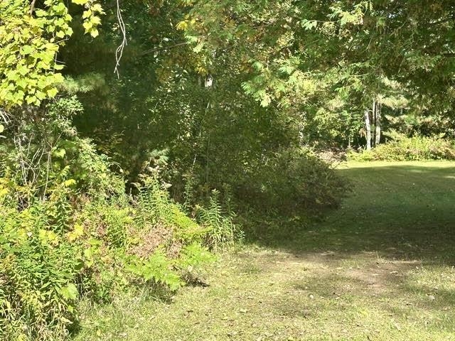 South White Potato Lake Road, Unit 12 Pound, WI 54161 - Photo 7 of 11