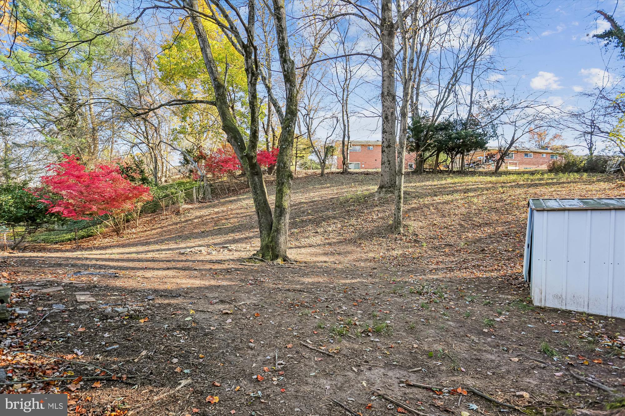420 Lamberton Drive Silver Spring, MD 20902 - Photo 41 of 46 a road view with large trees