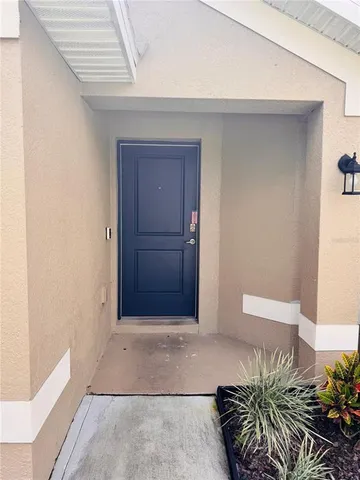 a potted plant sitting in front of a door