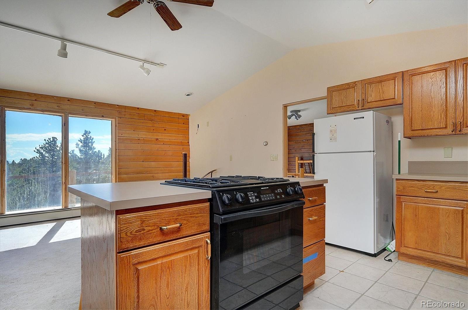1195 Singletree Road Hartsel, CO 80449 - Photo 11 of 33