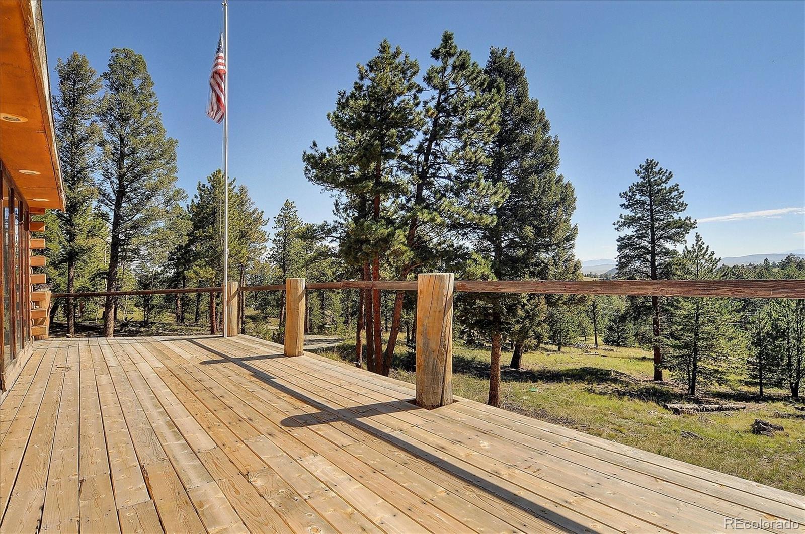 1195 Singletree Road Hartsel, CO 80449 - Photo 23 of 33