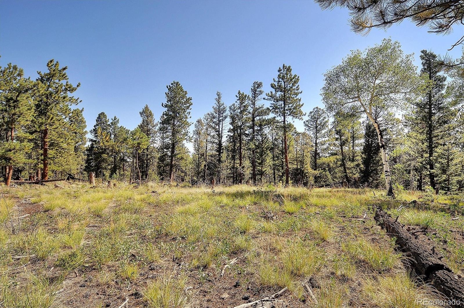 1195 Singletree Road Hartsel, CO 80449 - Photo 27 of 33