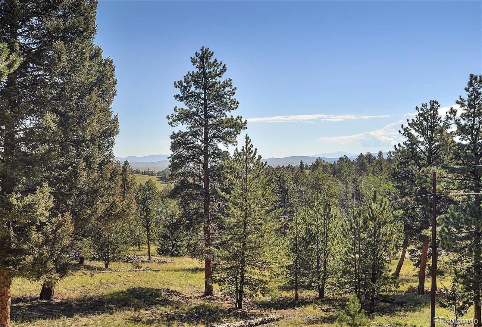 1195 Singletree Road Hartsel, CO 80449 - Photo 28 of 33