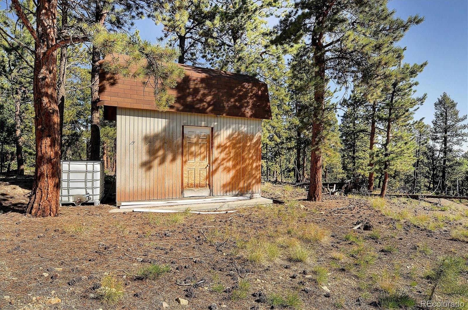 1195 Singletree Road Hartsel, CO 80449 - Photo 29 of 33