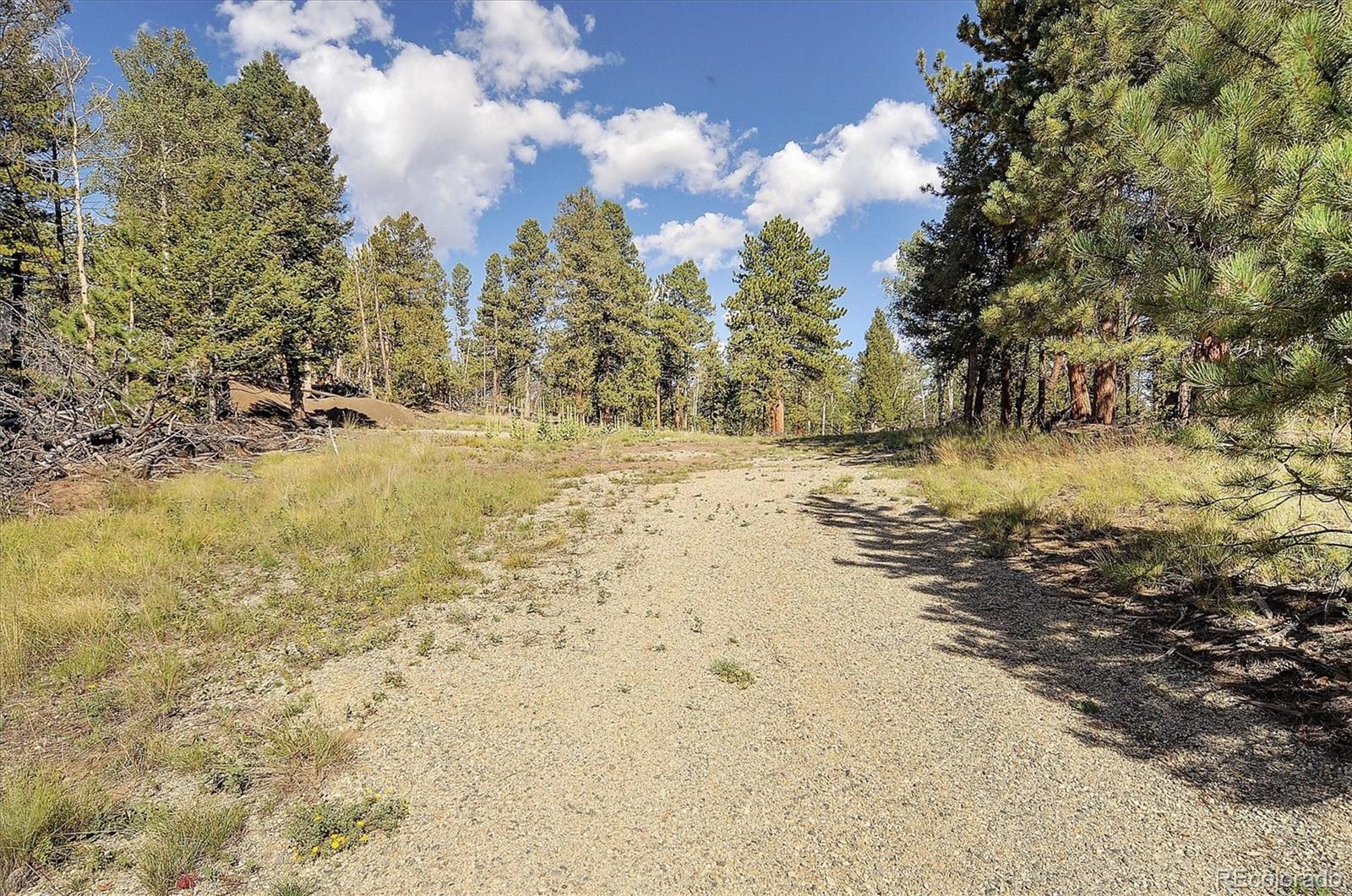 1195 Singletree Road Hartsel, CO 80449 - Photo 30 of 33