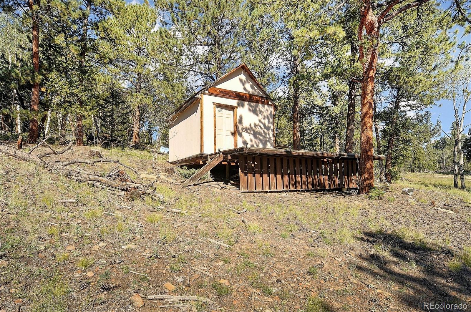 1195 Singletree Road Hartsel, CO 80449 - Photo 31 of 33