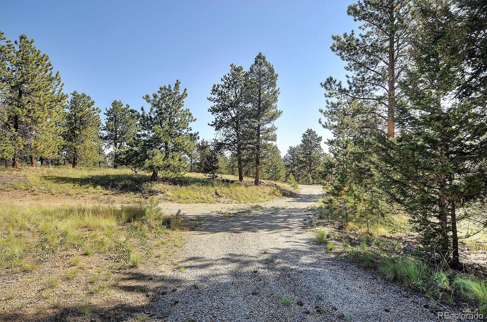 1195 Singletree Road Hartsel, CO 80449 - Photo 32 of 33