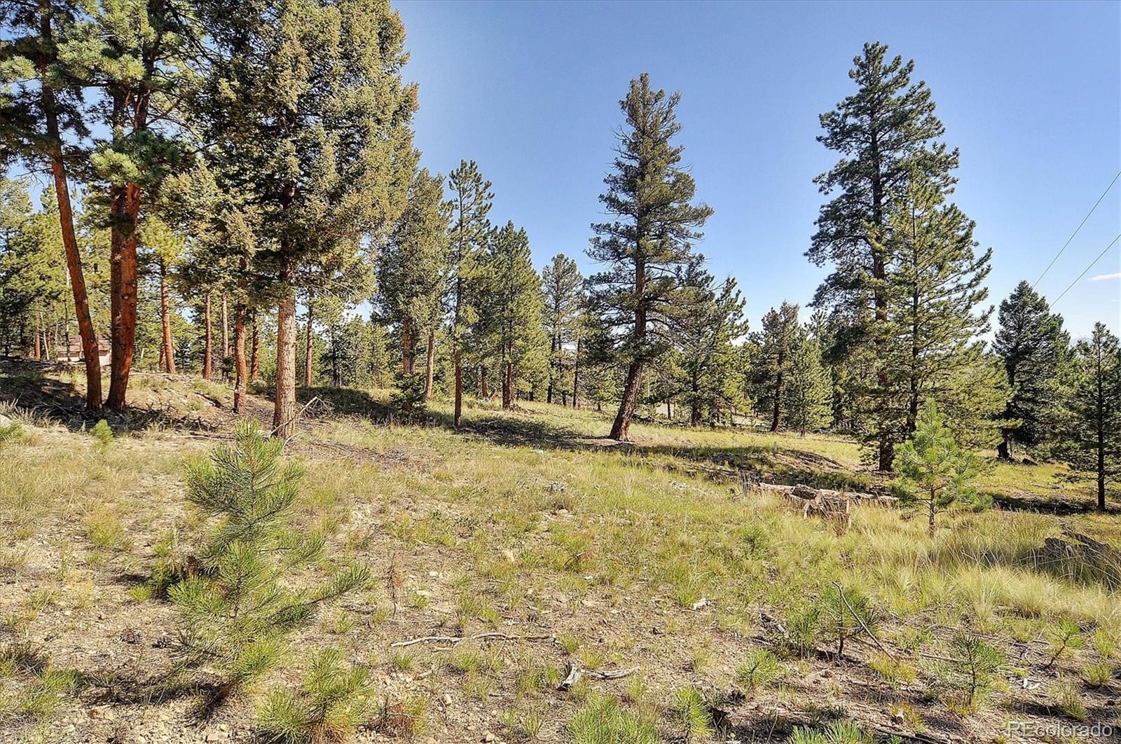 1195 Singletree Road Hartsel, CO 80449 - Photo 33 of 33