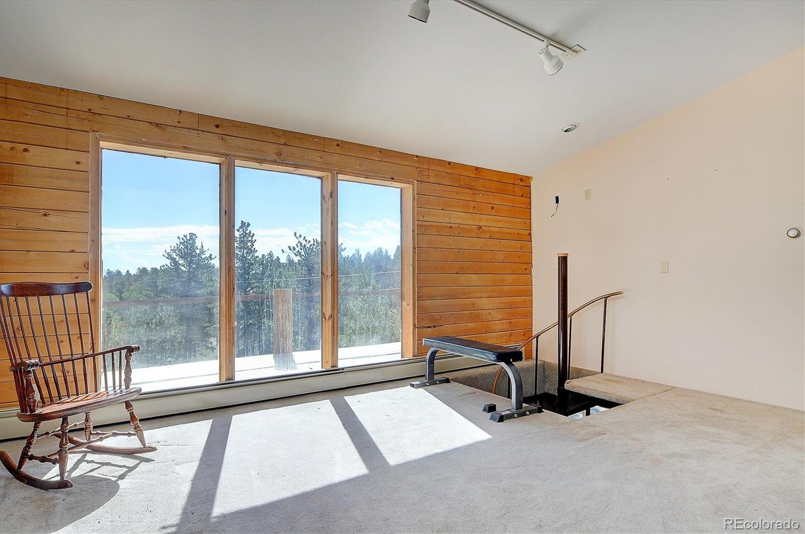 1195 Singletree Road Hartsel, CO 80449 - Photo 5 of 33