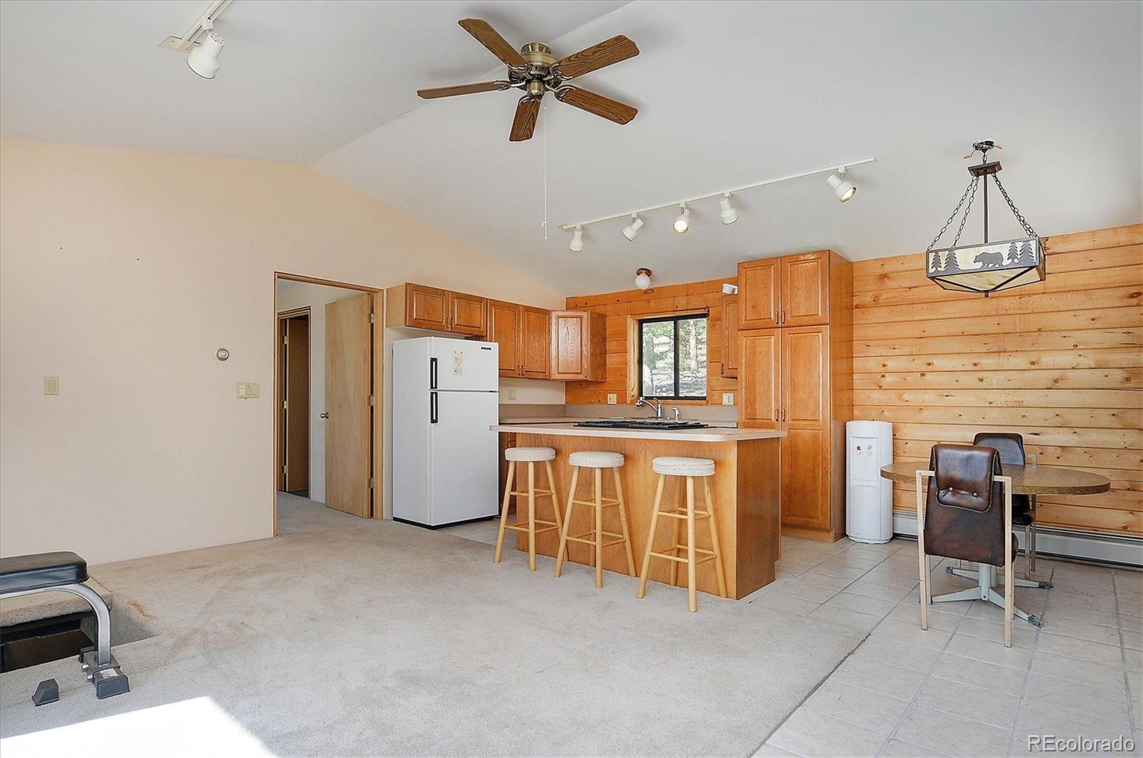 1195 Singletree Road Hartsel, CO 80449 - Photo 6 of 33