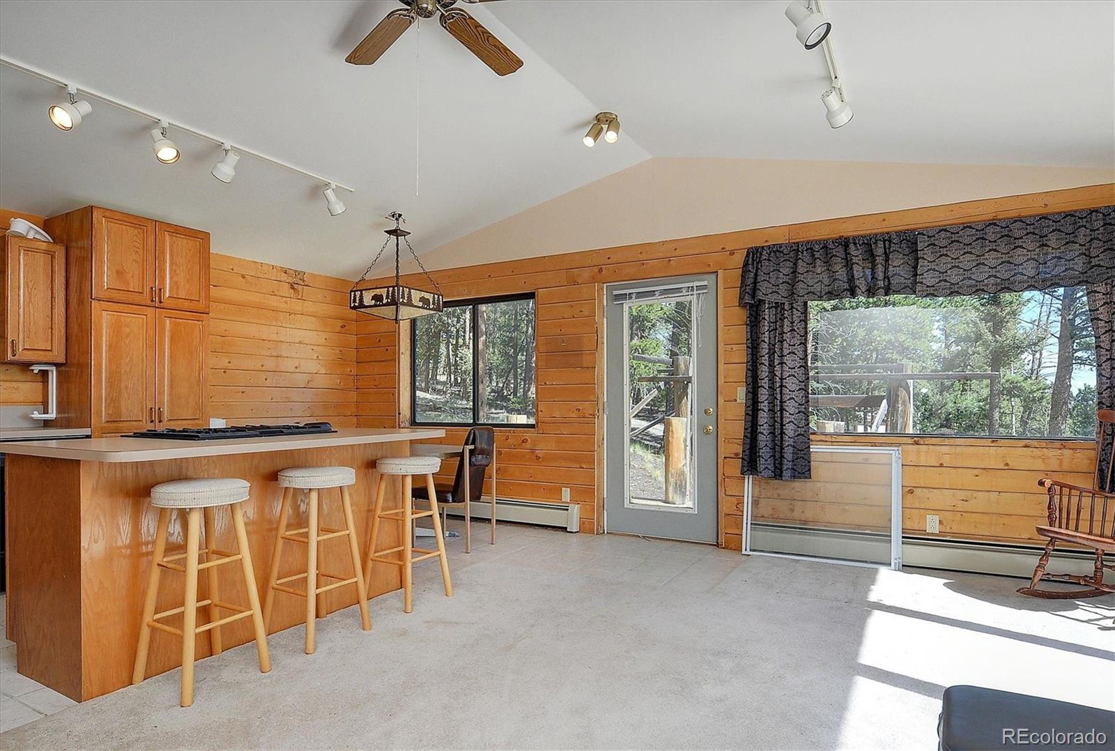 1195 Singletree Road Hartsel, CO 80449 - Photo 7 of 33