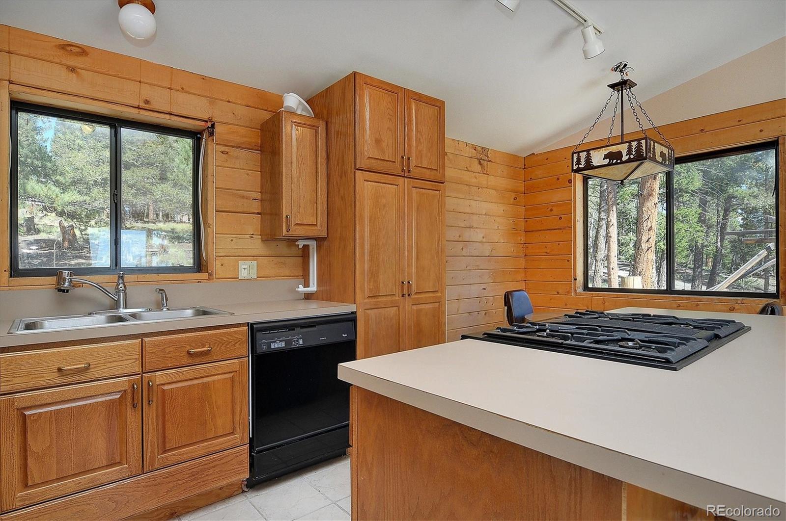 1195 Singletree Road Hartsel, CO 80449 - Photo 10 of 33