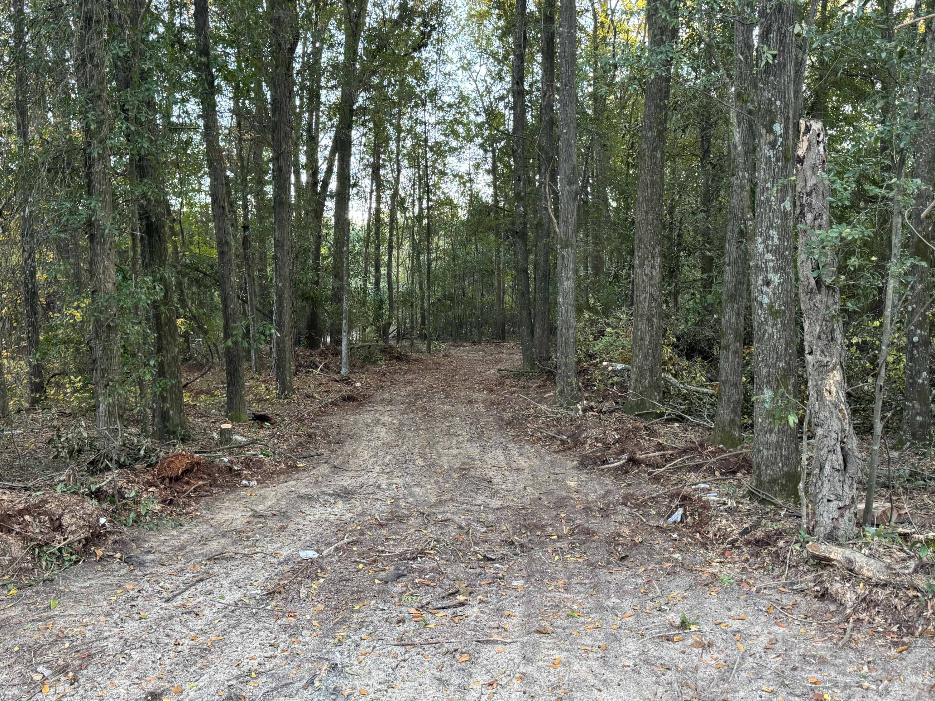 2 Festival Trail Road Salley, SC 29137 - Photo 4 of 11
