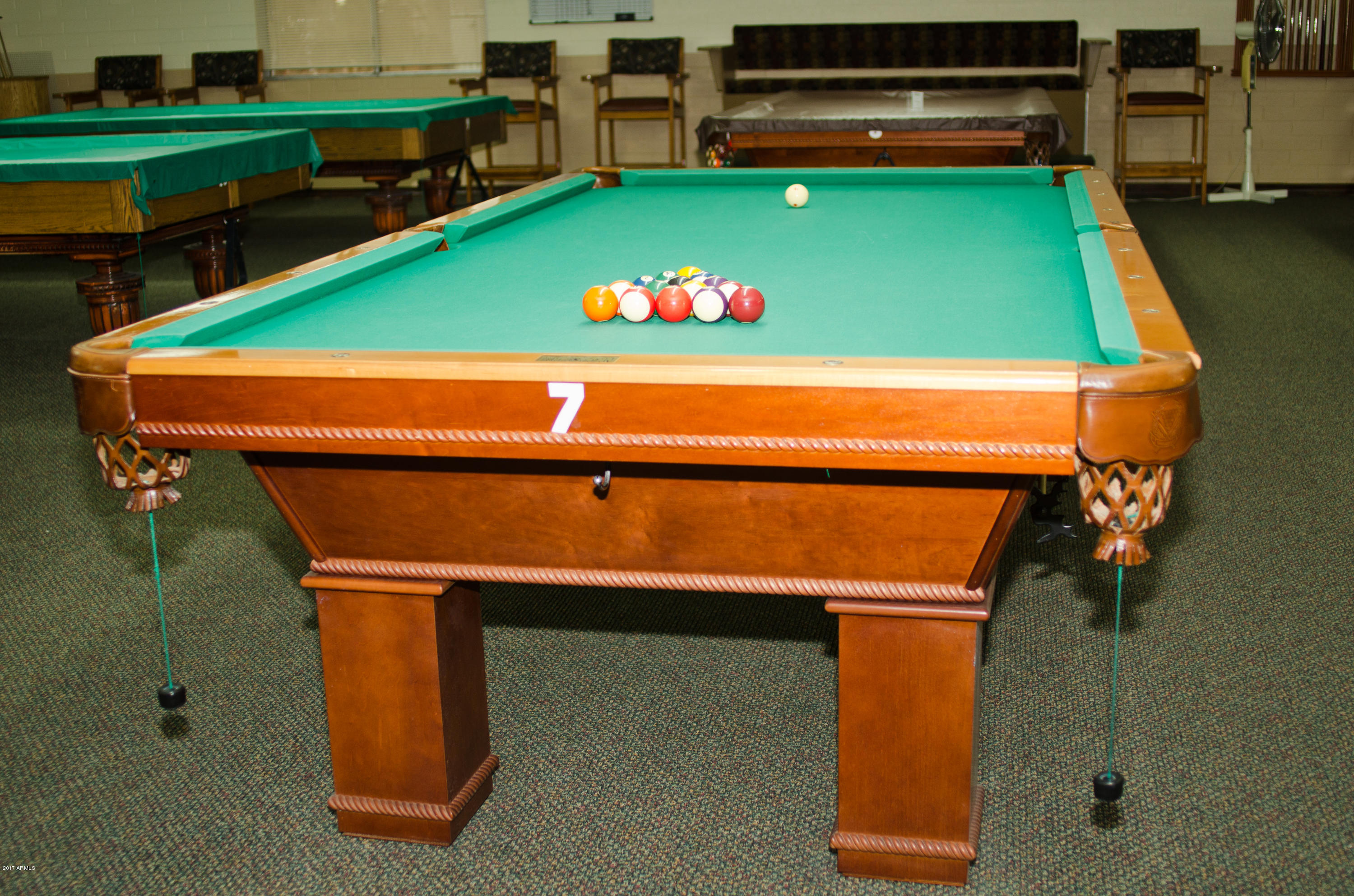 2920 South Cree Drive Apache Junction, AZ 85119 - Photo 31 of 40 Roadhaven Billiards