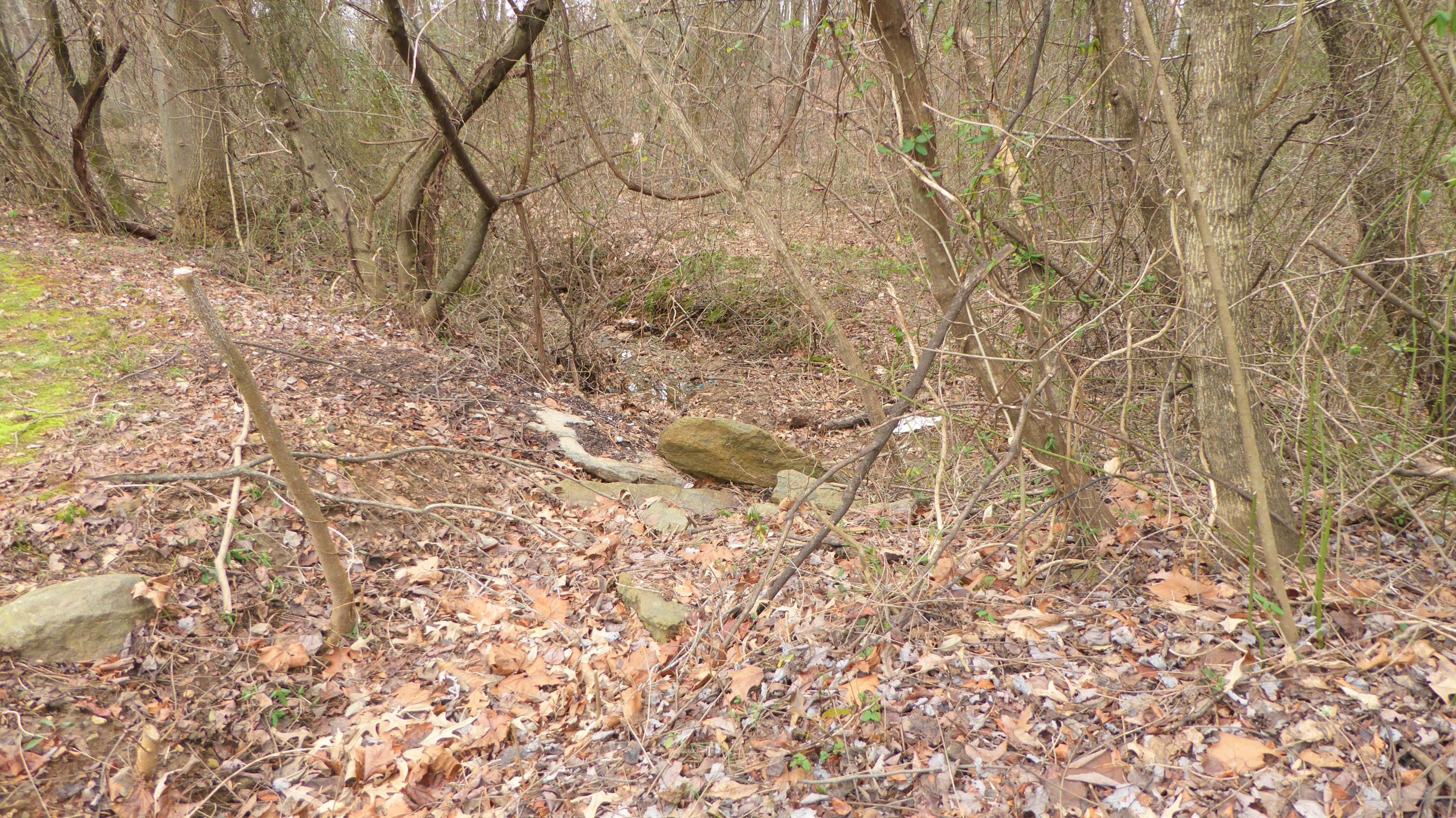 155 Bernard Road Rocky Mount, VA 24151 - Photo 40 of 43 40 Back Yard