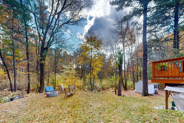 a view of a yard with large trees