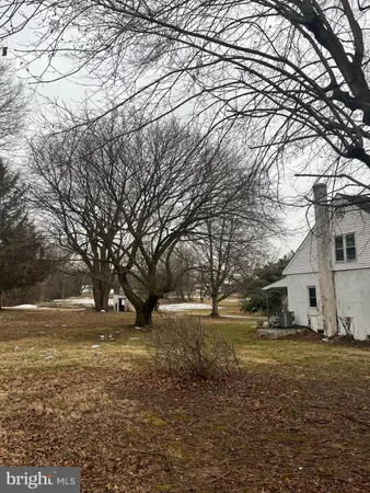 a view of yard with trees