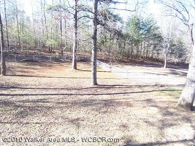 4121 North Walston Bridge Road Jasper, AL 35504 - Photo 2 of 14 Gallery Image 2