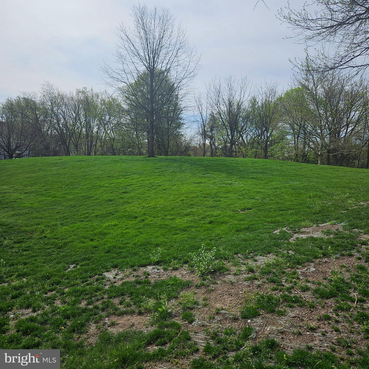 74 Kyle Way Trenton, NJ 08628 - Photo 25 of 31 Green Space