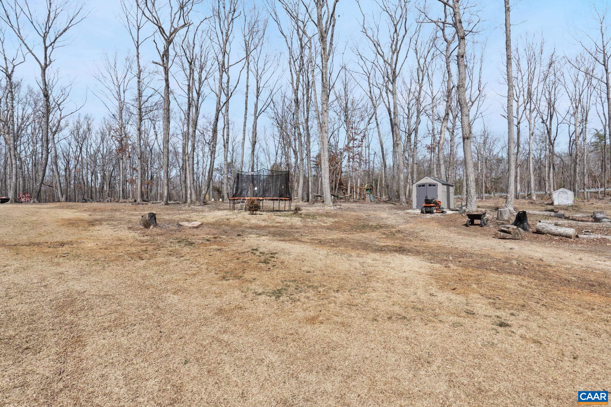1075 Pine Crest Drive Troy, VA 22974 - Photo 24 of 25 a backyard of a house with trees