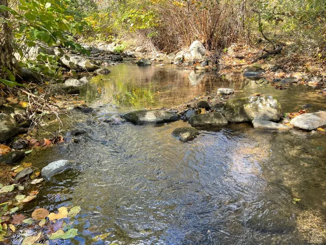 a view of lake with trees