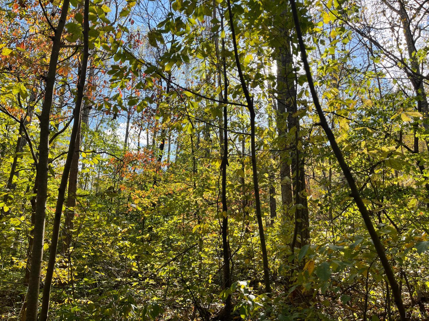 0 Hunting Creek Road Big Island, VA 24526 - Photo 12 of 17