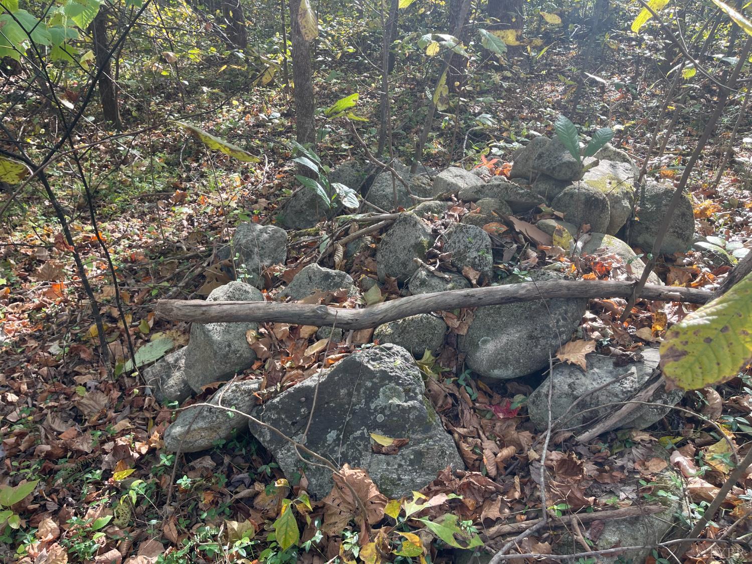 0 Hunting Creek Road Big Island, VA 24526 - Photo 15 of 17 a view of a tree in a yard