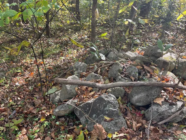 $199,900 | 0 Hunting Creek Road, Big Island, VA 24526